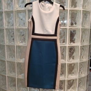 Calvin Klein Block Dress